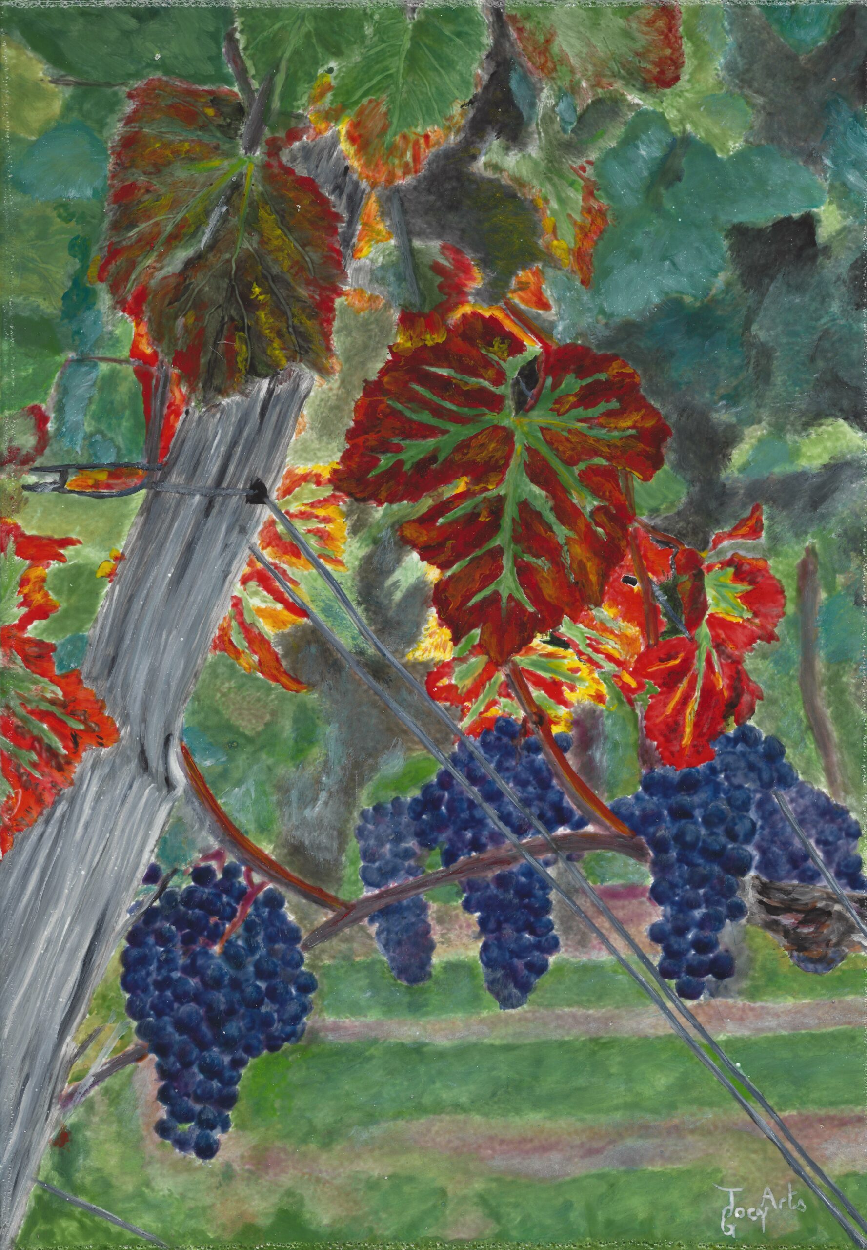 Richesse de la vigne